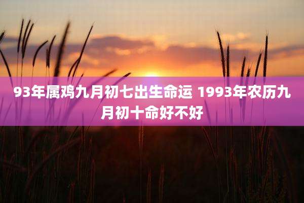93年属鸡九月初七出生命运 1993年农历九月初十命好不好