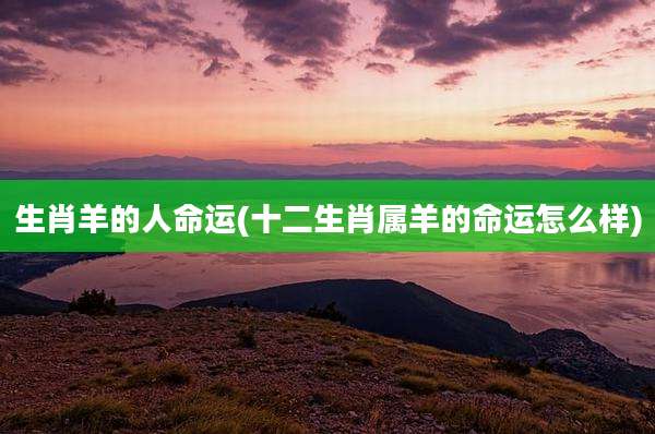 生肖羊的人命运(十二生肖属羊的命运怎么样)