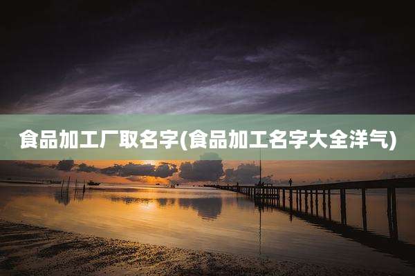食品加工厂取名字(食品加工名字大全洋气)