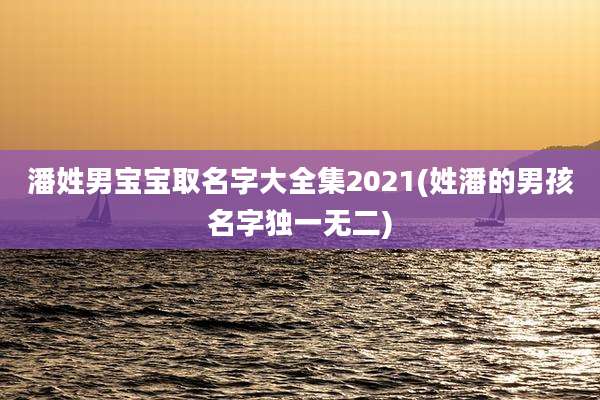 潘姓男宝宝取名字大全集2021(姓潘的男孩名字独一无二)