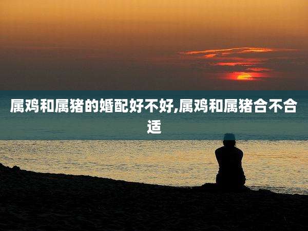 属鸡和属猪的婚配好不好,属鸡和属猪合不合适