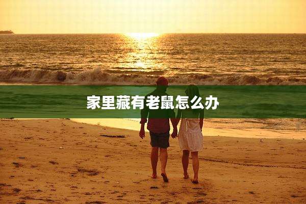 家里藏有老鼠怎么办