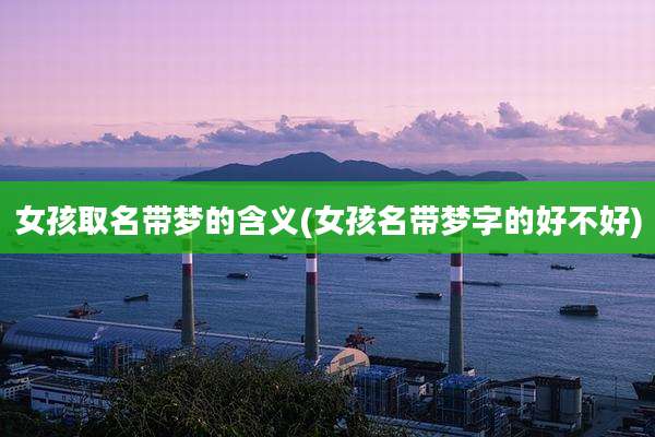 女孩取名带梦的含义(女孩名带梦字的好不好)