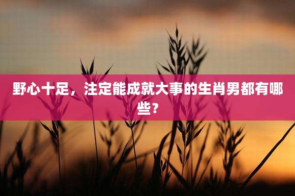 野心十足，注定能成就大事的生肖男都有哪些？