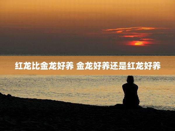 红龙比金龙好养 金龙好养还是红龙好养