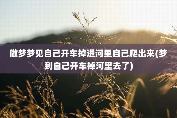 做梦梦见自己开车掉进河里自己爬出来(梦到自己开车掉河里去了)