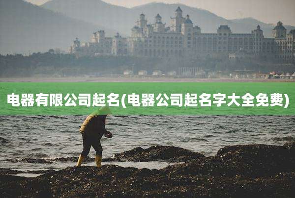 电器有限公司起名(电器公司起名字大全免费)