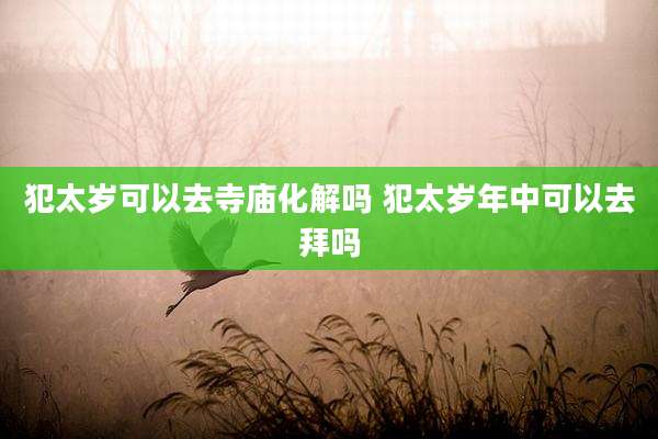 犯太岁可以去寺庙化解吗 犯太岁年中可以去拜吗