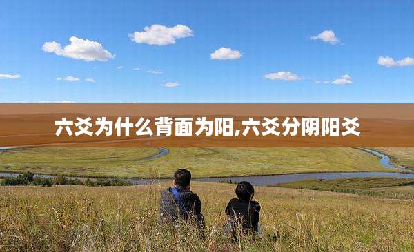 六爻为什么背面为阳,六爻分阴阳爻