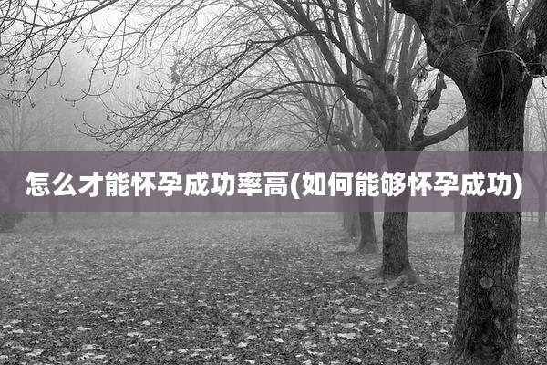 怎么才能怀孕成功率高(如何能够怀孕成功)