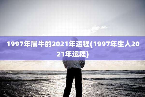 1997年属牛的2021年运程(1997年生人2021年运程)