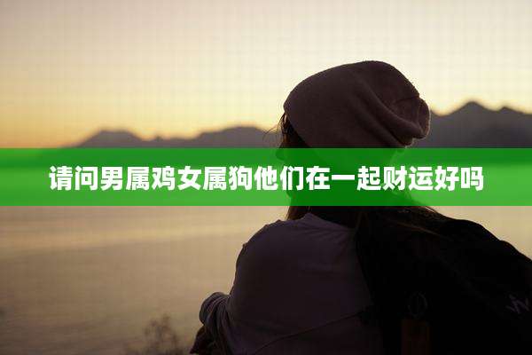 请问男属鸡女属狗他们在一起财运好吗