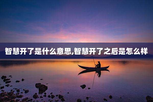 智慧开了是什么意思,智慧开了之后是怎么样