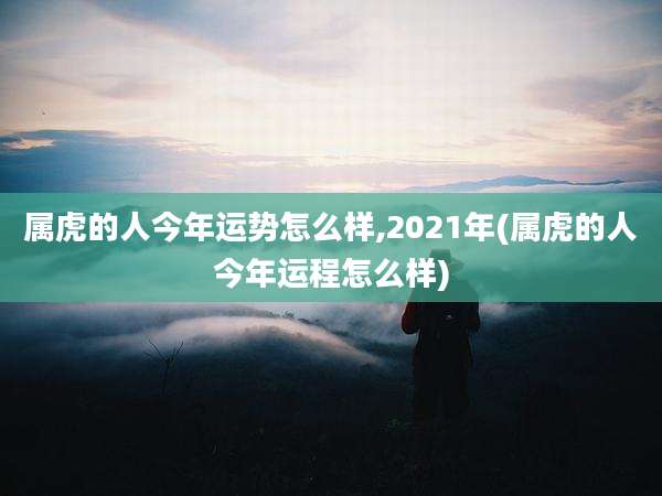 属虎的人今年运势怎么样,2021年(属虎的人今年运程怎么样)