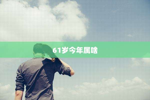 61岁今年属啥