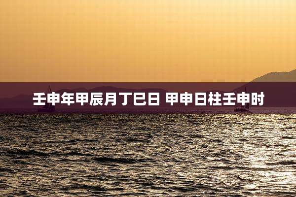 壬申年甲辰月丁巳日 甲申日柱壬申时