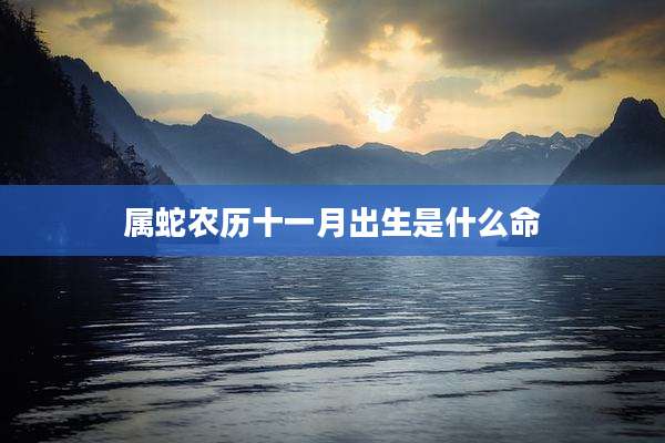 属蛇农历十一月出生是什么命