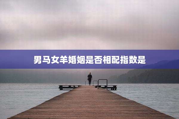 男马女羊婚姻是否相配指数是