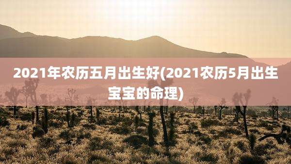 2021年农历五月出生好(2021农历5月出生宝宝的命理)