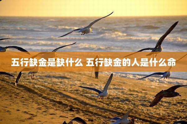 五行缺金是缺什么 五行缺金的人是什么命
