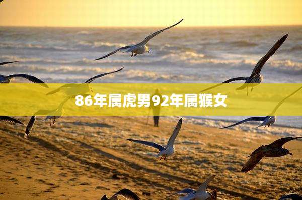 86年属虎男92年属猴女