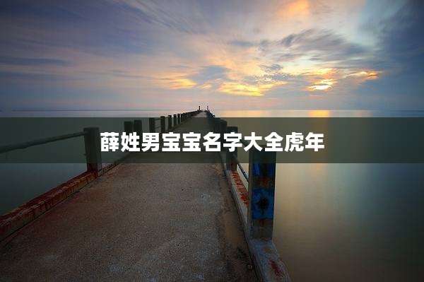薛姓男宝宝名字大全虎年