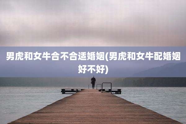 男虎和女牛合不合适婚姻(男虎和女牛配婚姻好不好)