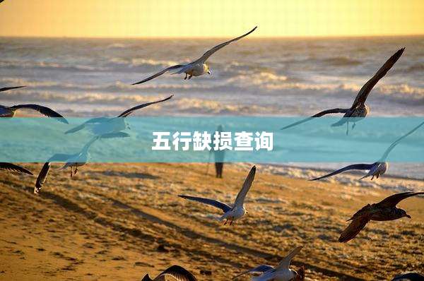 五行缺损查询