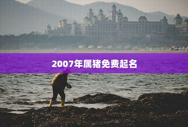 2007年属猪免费起名