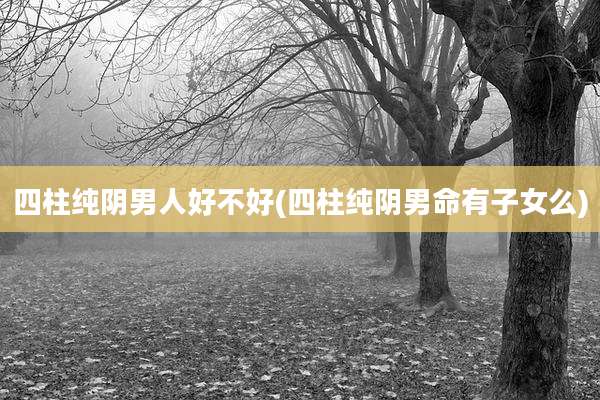 四柱纯阴男人好不好(四柱纯阴男命有子女么)