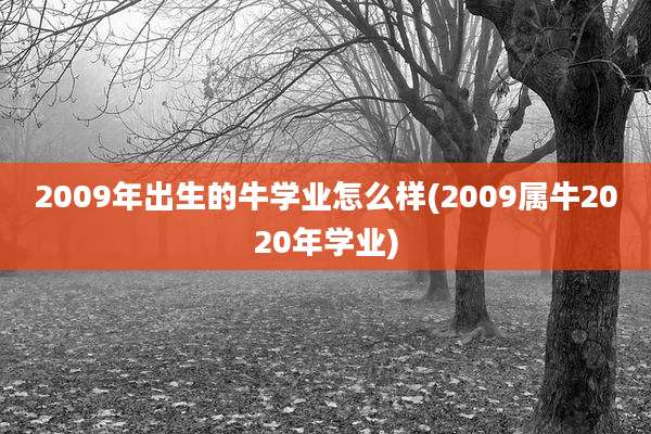 2009年出生的牛学业怎么样(2009属牛2020年学业)