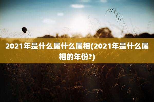 2021年是什么属什么属相(2021年是什么属相的年份?)