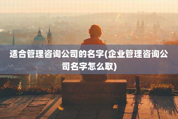 适合管理咨询公司的名字(企业管理咨询公司名字怎么取)