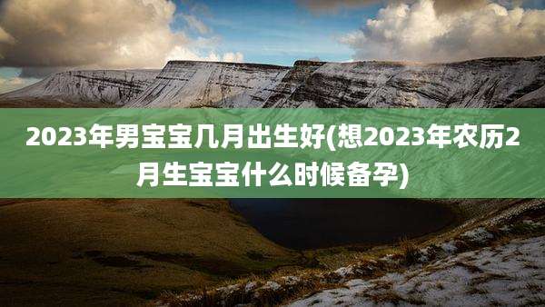 2023年男宝宝几月出生好(想2023年农历2月生宝宝什么时候备孕)