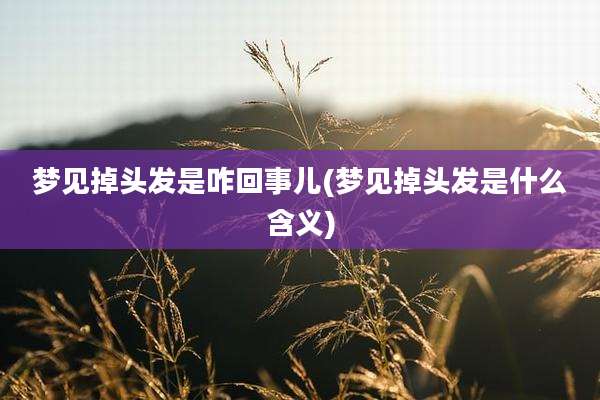 梦见掉头发是咋回事儿(梦见掉头发是什么含义)