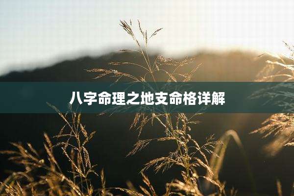 八字命理之地支命格详解
