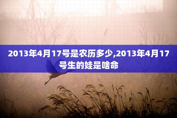 2013年4月17号是农历多少,2013年4月17号生的娃是啥命
