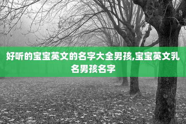 好听的宝宝英文的名字大全男孩,宝宝英文乳名男孩名字