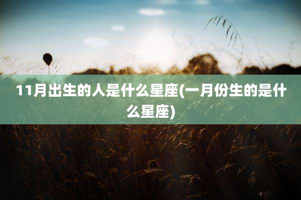 11月出生的人是什么星座(一月份生的是什么星座)