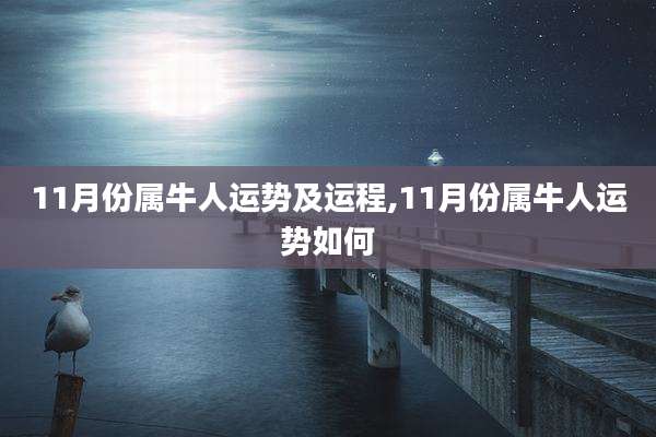11月份属牛人运势及运程,11月份属牛人运势如何