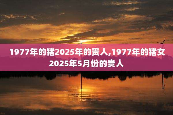 1977年的猪2025年的贵人,1977年的猪女2025年5月份的贵人