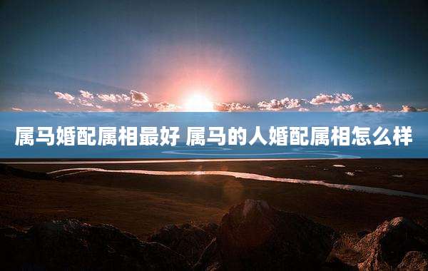 属马婚配属相最好 属马的人婚配属相怎么样