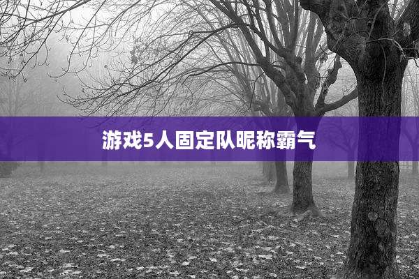 游戏5人固定队昵称霸气