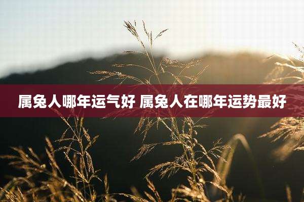 属兔人哪年运气好 属兔人在哪年运势最好