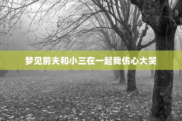 梦见前夫和小三在一起我伤心大哭