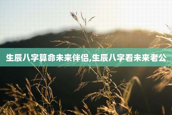 生辰八字算命未来伴侣,生辰八字看未来老公