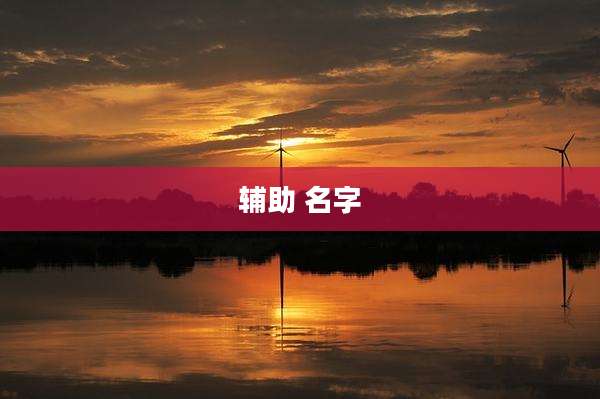 辅助 名字