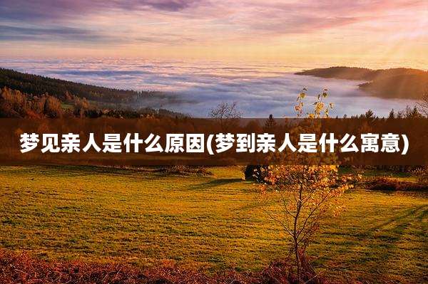 梦见亲人是什么原因(梦到亲人是什么寓意)