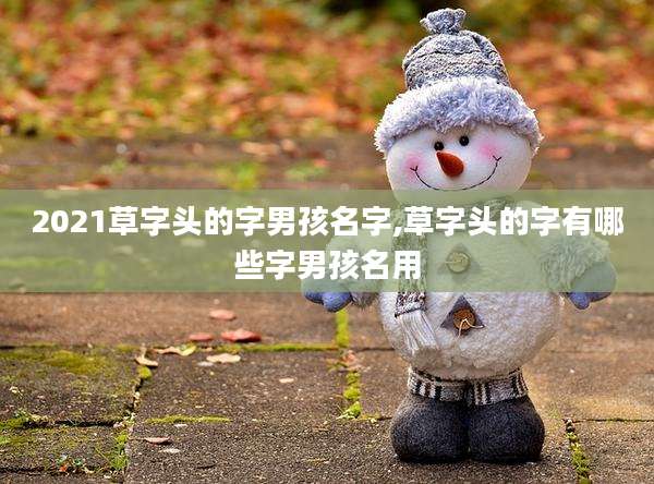 2021草字头的字男孩名字,草字头的字有哪些字男孩名用