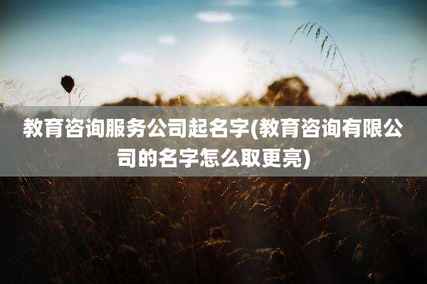 教育咨询服务公司起名字(教育咨询有限公司的名字怎么取更亮)